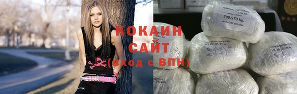 гидра Арсеньев