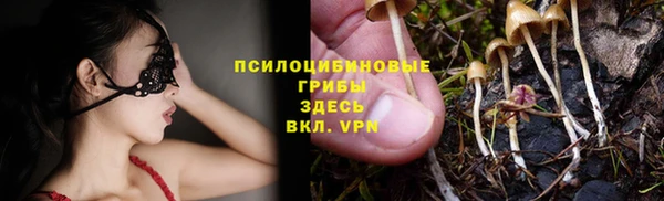 винт Аркадак